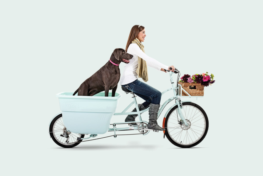 Mint Green Madsen Bike, Chocolate Lab in the back, vibrant flowers in the front basket